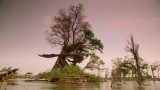 People of the Monsoon