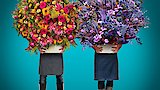 Final Floral Face Off