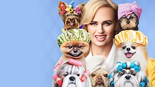 Pooch Perfect - Glow Big or Glow Home