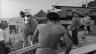 Mister Ed Season 2 Episode 23 Mister Ed Season 2 Episode 23