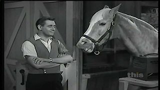 Mister Ed Season 2 Episode 24 Mister Ed Season 2 Episode 24