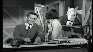 Mister Ed Season 2 Episode 26 Mister Ed Season 2 Episode 26