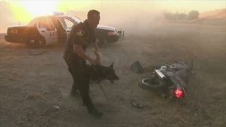Cops Season 23 Episode 16 Cops Season 23 Episode 16