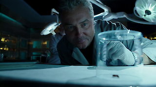CSI: Crime Scene Investigation Season 16 Episode 2 CSI: Crime Scene Investigation Season 16 Episode 2
