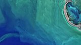 The Earthshot Prize Award Show