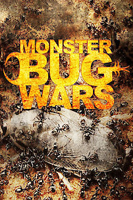 Monster Bug Wars