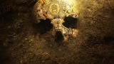 Explosive Discoveries