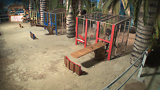 Big Brother Season 21 Episode 21 Big Brother Season 21 Episode 21