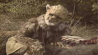 Doctor Who (1963) Season 26 Episode 14 Doctor Who (1963) Season 26 Episode 14