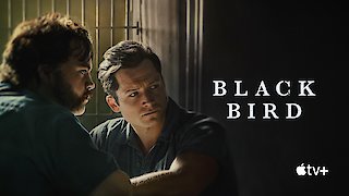 Black Bird - You Promised