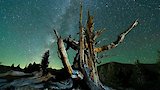 Close Encounters