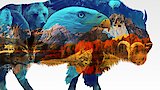 Eagle's Eye View