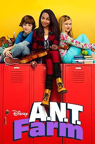 Ant Farm