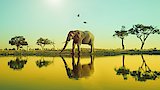 A Conservation Legacy