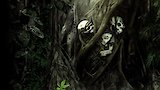 Mystery of Mexico's Skull Cave