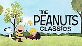 You're in the Super Bowl, Charlie Brown!