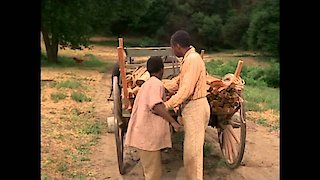 Roots: The Complete Miniseries Season 1 Episode 2 Roots: The Complete Miniseries Season 1 Episode 2