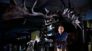 Extinct Season 1 Episode 3 Extinct Season 1 Episode 3