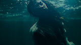 An Ocean of Secrets