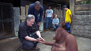 60 Minutes Season 52 Episode 38 60 Minutes Season 52 Episode 38