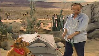 Alf Season 4 Episode 20 Alf Season 4 Episode 20