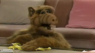 Alf Season 1 Episode 2 Alf Season 1 Episode 2