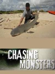 Chasing Monsters