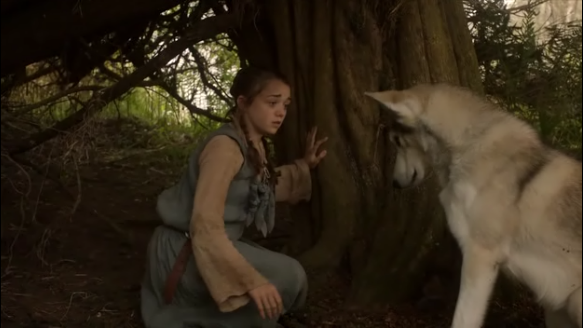 'Game of Thrones' Watch: Arya to Reunite with Old Friend?