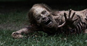 News From 'The Walking Dead'