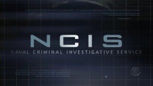 'NCIS' Cast Talks 200th Episode And 'Hawaii Five-0' Crossover