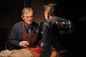 'NCIS'  Season 10, Episode 16: 'Detour' Recap