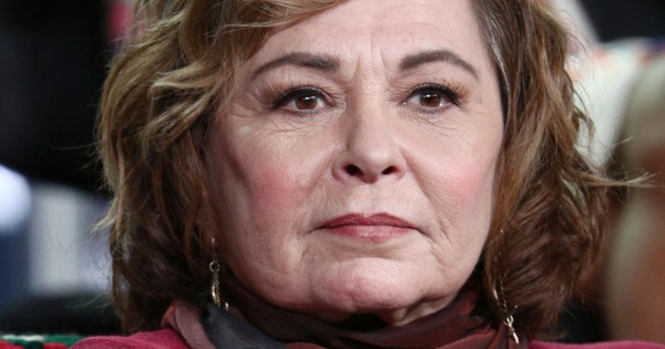 Is Roseanne Barr Coming Back to TV?