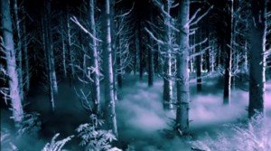 'American Horror Story' Promo #17 & #18: Forests and Aliens