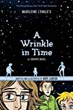 A Wrinkle in Time: The Graphic Novel