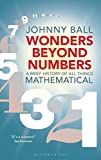 Wonders Beyond Numbers: A Brief History of All Things Mathematical