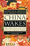 China Wakes: The Struggle for the Soul of a Rising Power