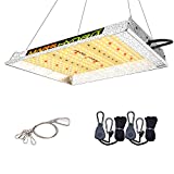 MARS HYDRO TS 600W LED Grow Light 2x2ft Coverage Sunlike Full Spectrum Grow Lamp Plants Growing for Hydroponic Indoor Seeding Veg and Bloom Greenhouse Growing Light Fixtures Four for 4x4 Footprint