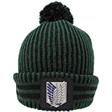 Ripple Junction Attack on Titan Season 3 Scout Regiment Ribbed Stitched Beanie Green