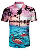 Uideazone Men Fashion Palm Tree Flamingos Hawaiian Shirt Sleeves Button Down Shirts,X-Large,C-flamingos