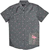 Official Molokai Shirts (Flamingo Pattern (Grey), Large)