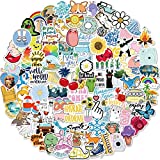 Stickers for Water Bottles, 100 Pack/PCS Hydroflask Stickers Aesthetic Waterproof Cute Vsco Vinyl Stickers Laptop Skateboard Luggage Computer Stickers for Teens Girls Kids