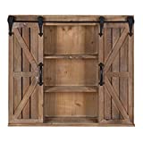 Kate and Laurel Cates Wood Wall Storage Cabinet with Two Sliding Barn Doors, Rustic Brown