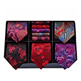 HISDERN Men's Necktie Collections, Lot 5 PCS Classic Men's Silk Tie Set Necktie & Pocket Square with Gift Box,T5-s1,One Size