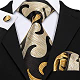 Barry.Wang Mens Ties Silk Tie Pocket Square Cufflinks Set Woven Designer Brown Gold