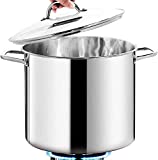 HOMICHEF 16 Quart LARGE Stock Pot with Glass Lid - NICKEL FREE Stainless Steel Healthy Cookware Stockpots with Lids 16 Quart - Mirror Polished Induction Pot - Commercial Grade Soup Pot Cooking Pot