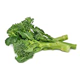 UtopiaSeeds Fall Broccoli Raab Seeds - Fall Rapini Seeds - Italian Vegetable Seeds