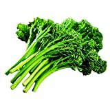Park Seed Aspabroc Hybrid Broccoli Seeds, Includes 20 Seeds in a Pack