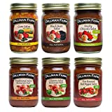 Dillman Farm 6 Piece Salsa Variety Pack