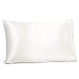 Fishers Finery 19mm 100% Pure Silk Pillowcase, Good Housekeeping Quality Tested (White, Q)