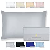 BEAUTY OF ORIENT - 25 Momme, Pure Mulberry Silk Pillowcase for Hair and Skin, Natural Hypoallergenic Cooling Silk Pillow Cases, Best for Beauty Body and Sleep (Standard - 20" x 26", Silver Lining)